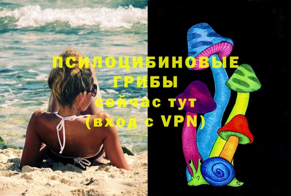 марки nbome Белокуриха
