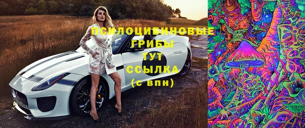 марки nbome Белокуриха