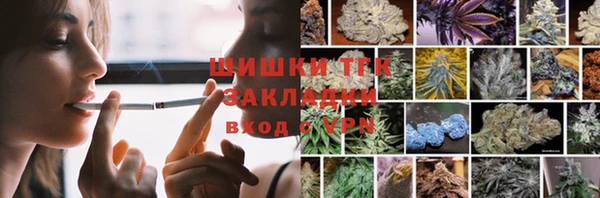 PSILOCYBIN Вязники