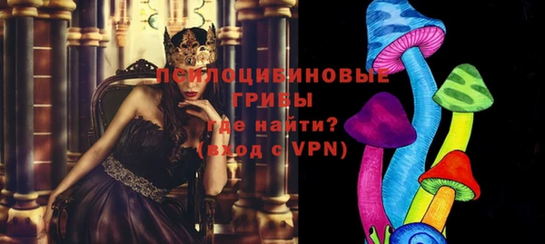 мяу мяу мука Тында