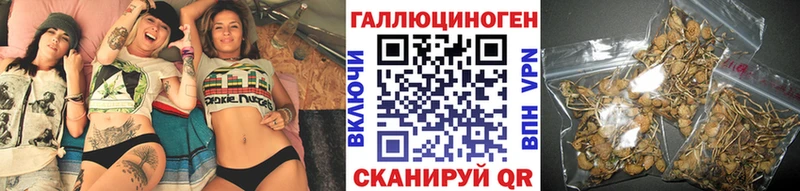 Псилоцибиновые грибы Psilocybine cubensis где купить наркоту Верхний Тагил